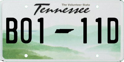 TN license plate B0111D