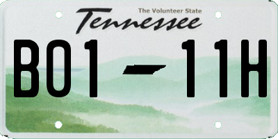 TN license plate B0111H