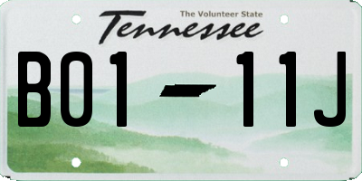 TN license plate B0111J
