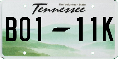 TN license plate B0111K