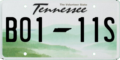 TN license plate B0111S