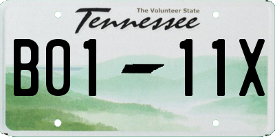 TN license plate B0111X