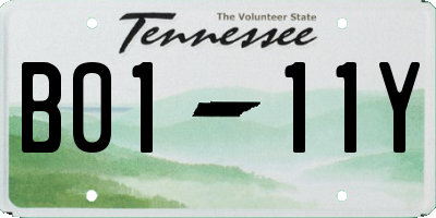 TN license plate B0111Y