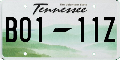 TN license plate B0111Z