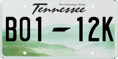 TN license plate B0112K