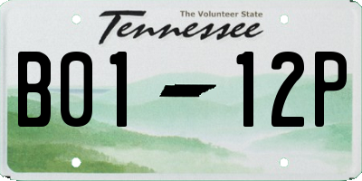 TN license plate B0112P
