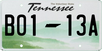 TN license plate B0113A