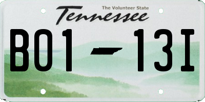 TN license plate B0113I