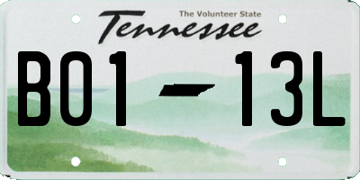 TN license plate B0113L
