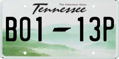TN license plate B0113P