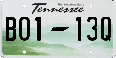 TN license plate B0113Q