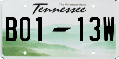 TN license plate B0113W