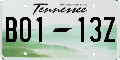 TN license plate B0113Z