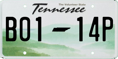 TN license plate B0114P