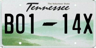 TN license plate B0114X
