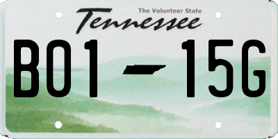 TN license plate B0115G