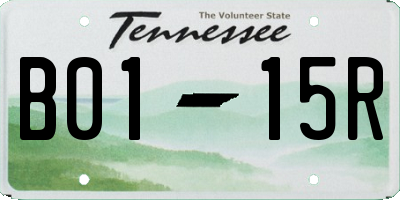 TN license plate B0115R