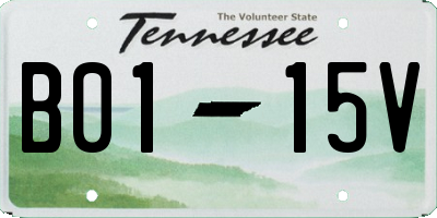 TN license plate B0115V
