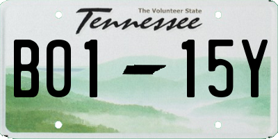 TN license plate B0115Y