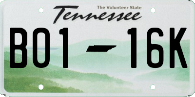 TN license plate B0116K