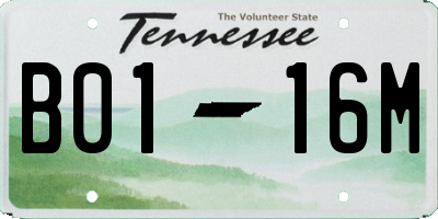 TN license plate B0116M