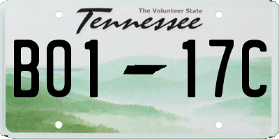 TN license plate B0117C