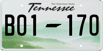 TN license plate B0117O