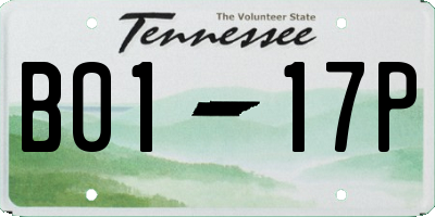 TN license plate B0117P