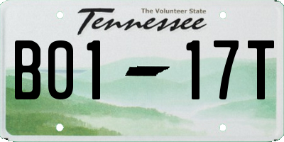 TN license plate B0117T