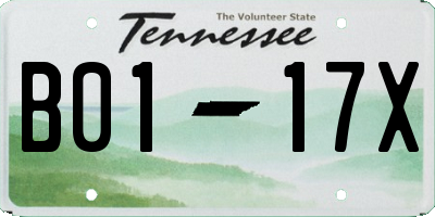 TN license plate B0117X
