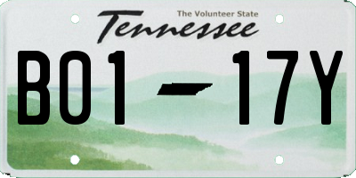 TN license plate B0117Y