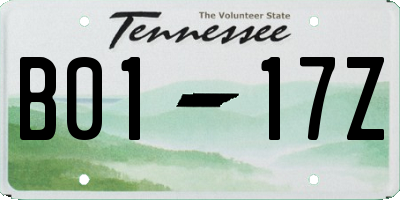 TN license plate B0117Z