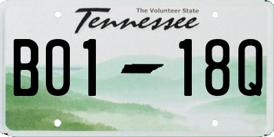 TN license plate B0118Q