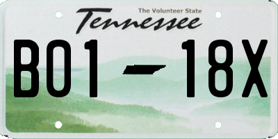 TN license plate B0118X