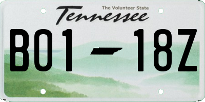 TN license plate B0118Z