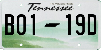 TN license plate B0119D