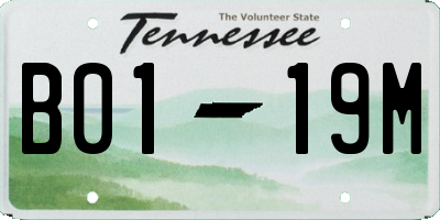 TN license plate B0119M