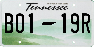 TN license plate B0119R