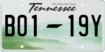 TN license plate B0119Y