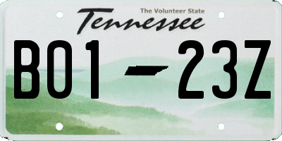 TN license plate B0123Z