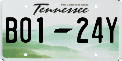 TN license plate B0124Y