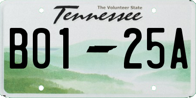 TN license plate B0125A