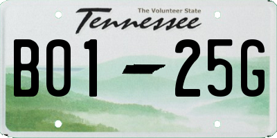 TN license plate B0125G
