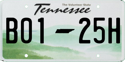 TN license plate B0125H