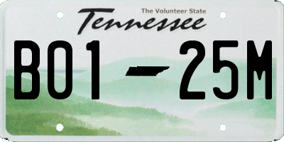 TN license plate B0125M