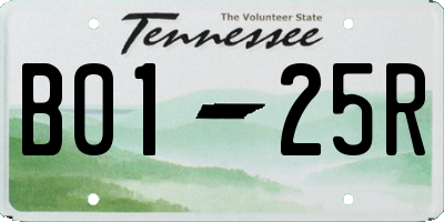 TN license plate B0125R