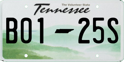 TN license plate B0125S