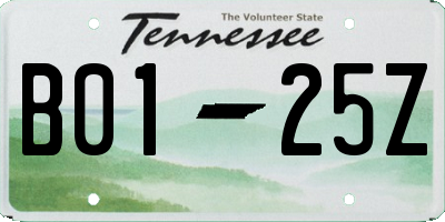 TN license plate B0125Z