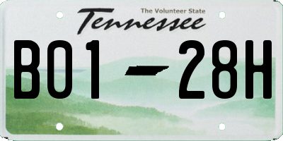 TN license plate B0128H