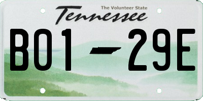 TN license plate B0129E